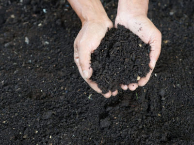 Rich, black soil